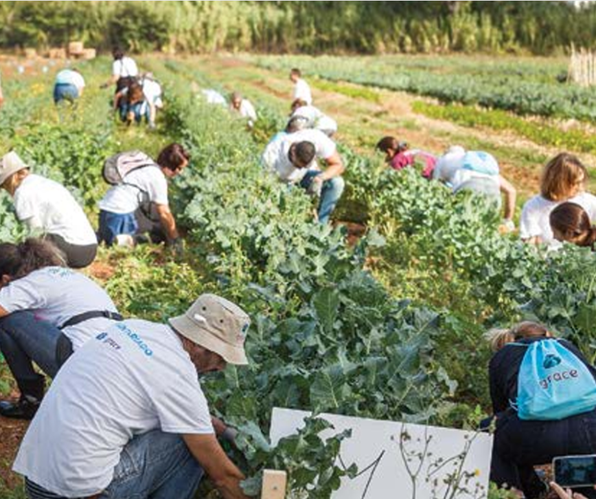 Semear oportunidades para jovens com dificuldade intelectual