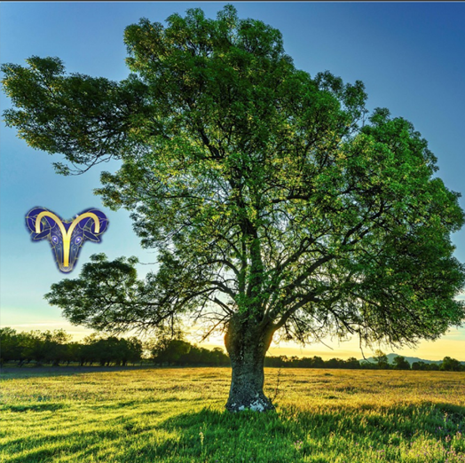 Interpretação astrológica das efemérides de Março e Abril