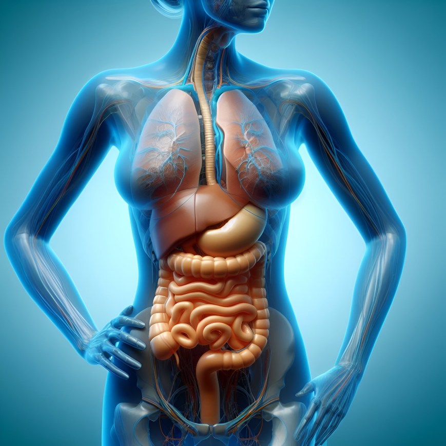 Saúde digestiva e Ayurveda 