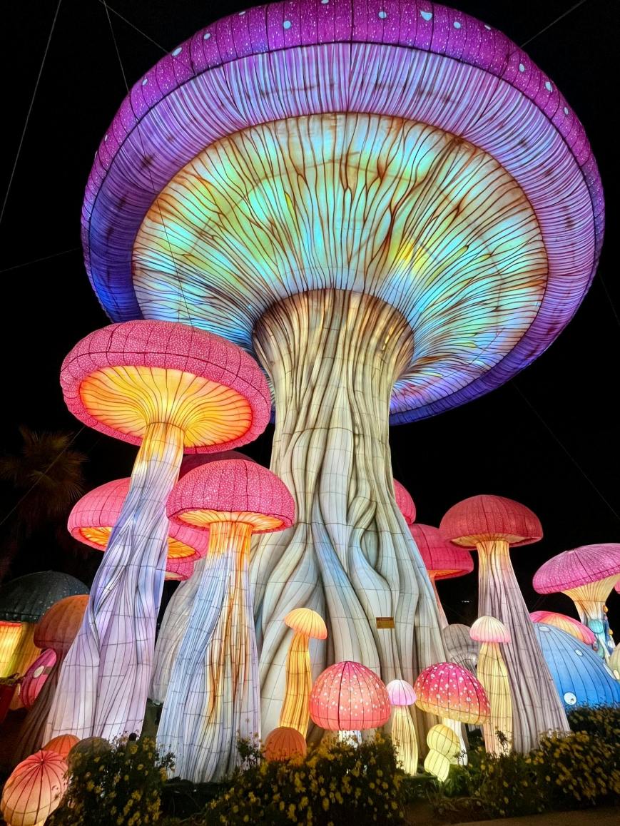 Do estigma à terapia: os psicadélicos na saúde mental